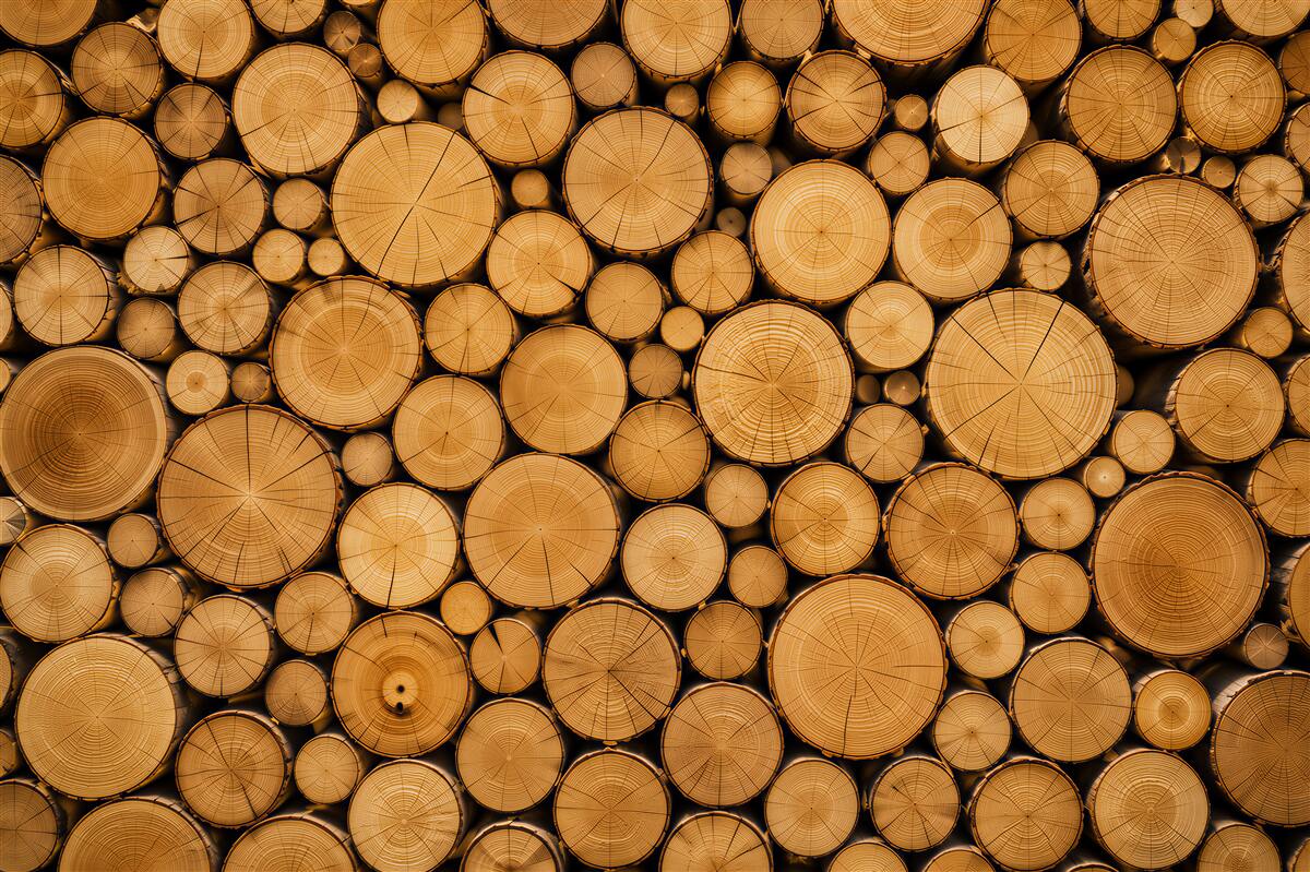 Fototapeten helle Holzscheiben auf beigem Hintergrund skandinavisch
