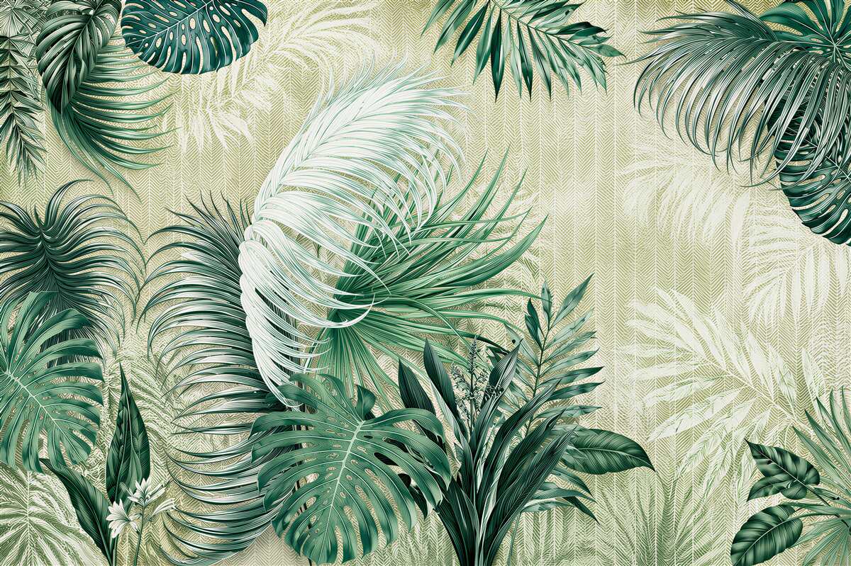 Fototapeten tropische Blätter grün Monstera und Palme auf hellem Hintergrund