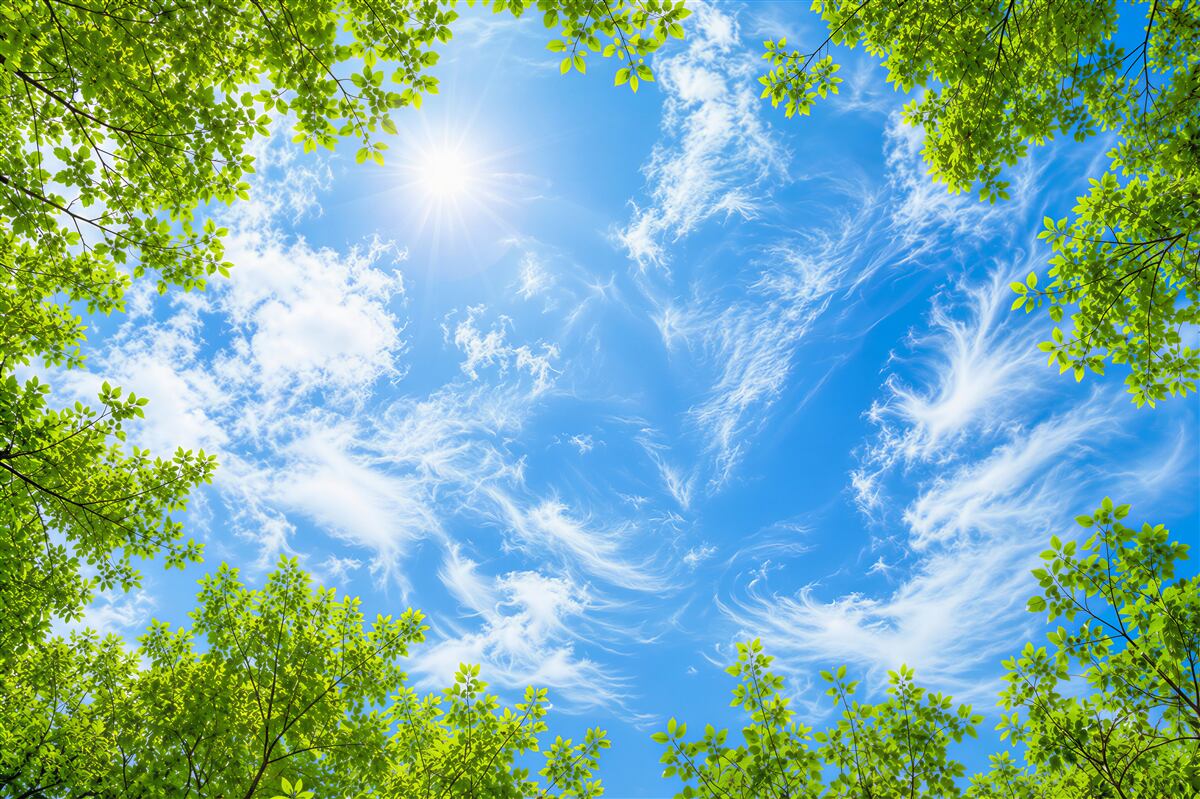 Fototapeten blauer Himmel und Sonne umgeben von Grün