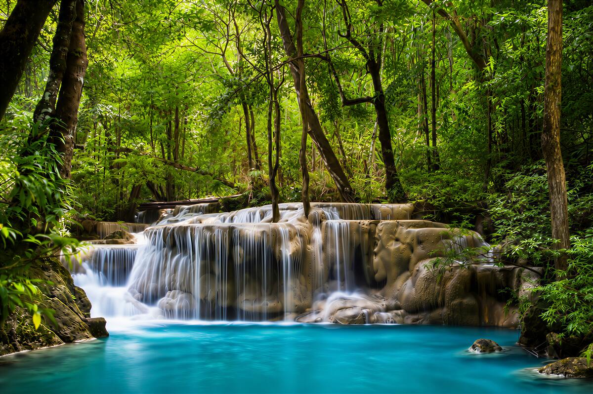 Fototapeten Wasserfall in einem grünen Wald