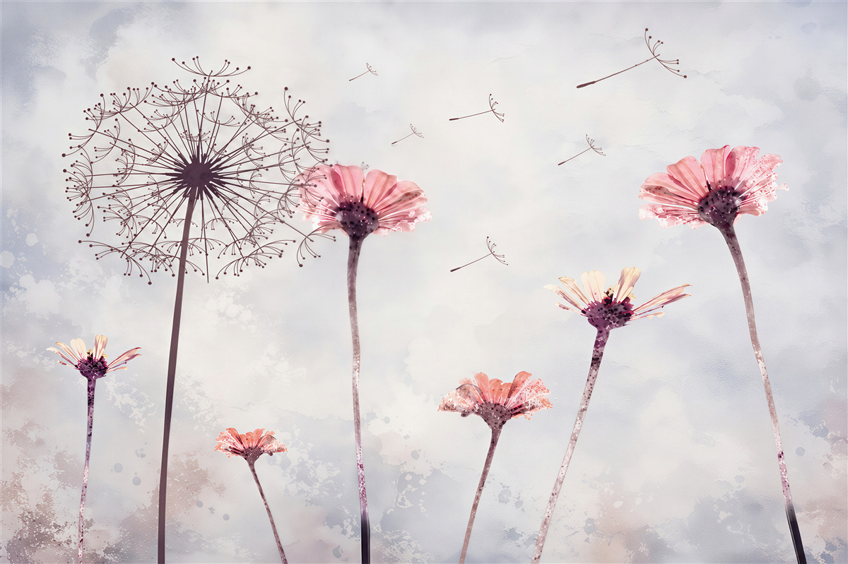 Fototapeten Gerbera und Mohnblumen bei starkem Wind