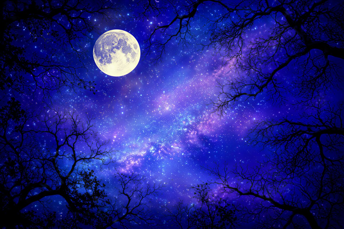 Fototapeten heller Mond in der Nacht am sternenklaren Himmel