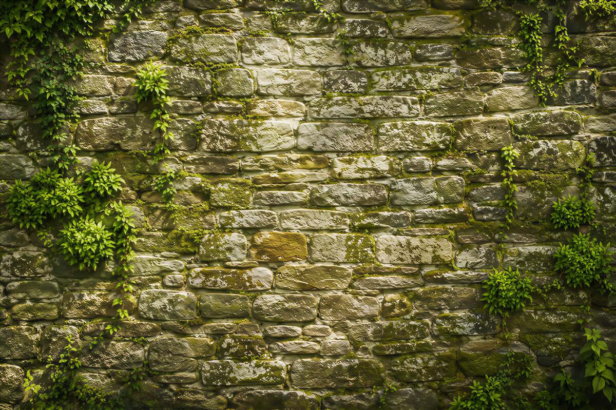 Fototapeten Moos an einer alten Steinmauer