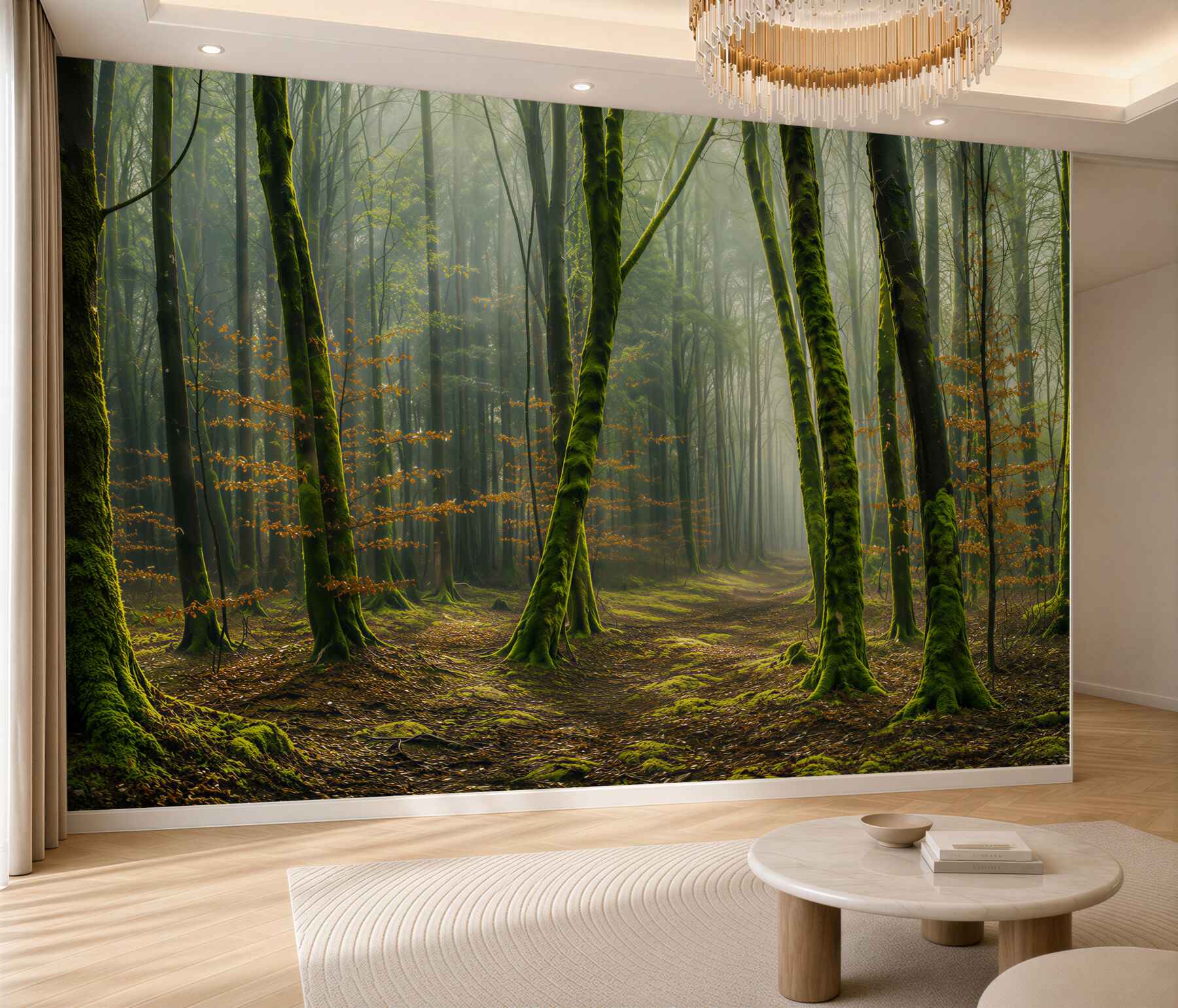 Fototapeten grüner Wald mit einem Weg in den Sonnenstrahlen