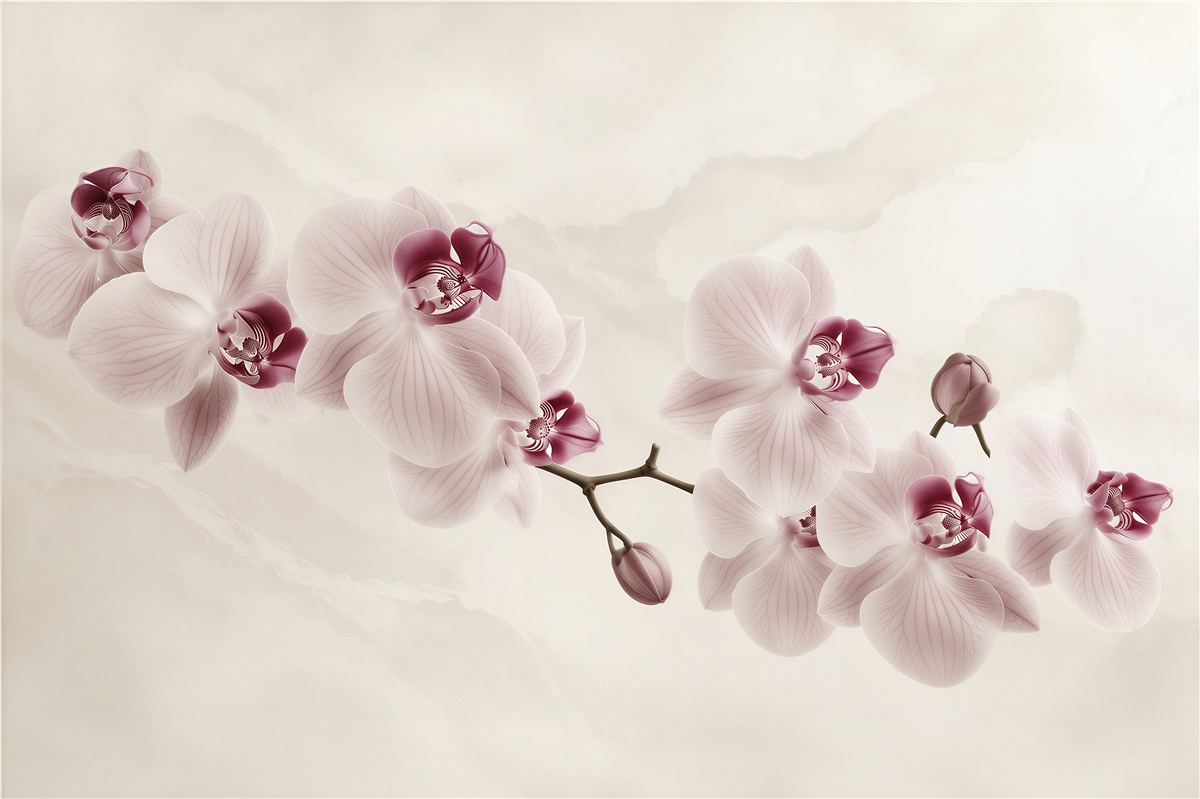 Fototapeten pudrig rosa Orchideen auf hellem Hintergrund elegant für das Schlafzimmer