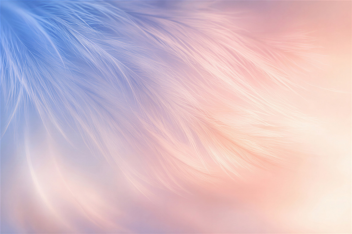 Fototapeten pastellfarbene rosa und blaue Federn zart für das Schlafzimmer