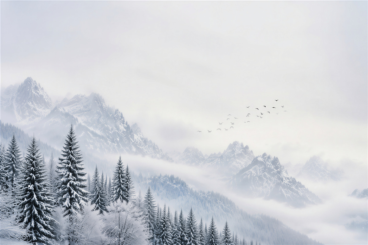 Fototapeten verschneite Berge und Fichtenwald im Nebel winterliche Landschaft