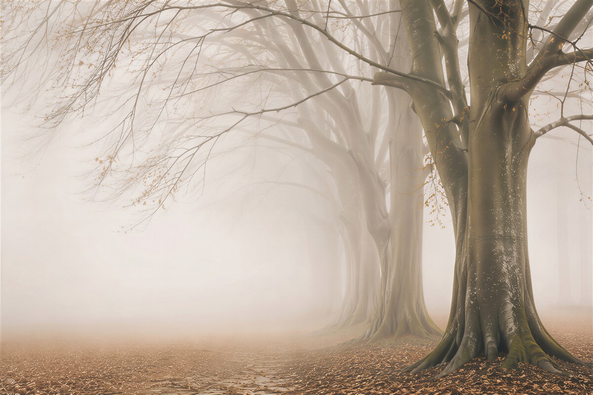 Fototapeten Baumallee im Nebel beiger Waldlandschaft für das Wohnzimmer