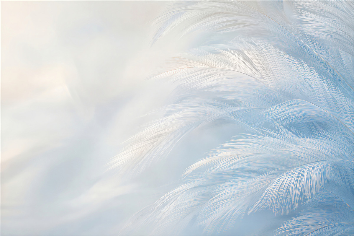 Fototapeten zarte weiße Federn auf blauem Hintergrund für ein elegantes Schlafzimmer