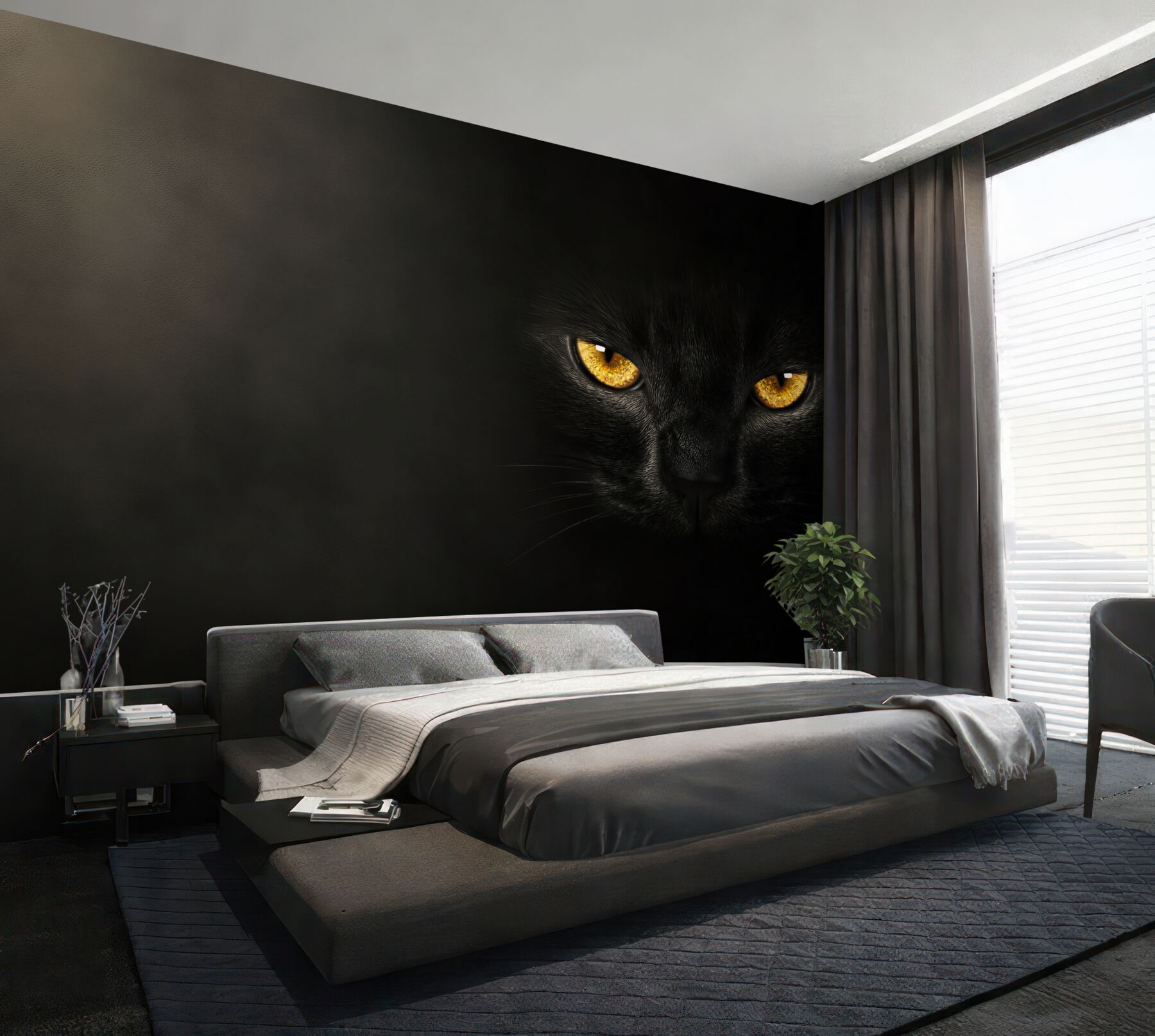 Fototapeten durchdringender Blick einer schwarzen Katze