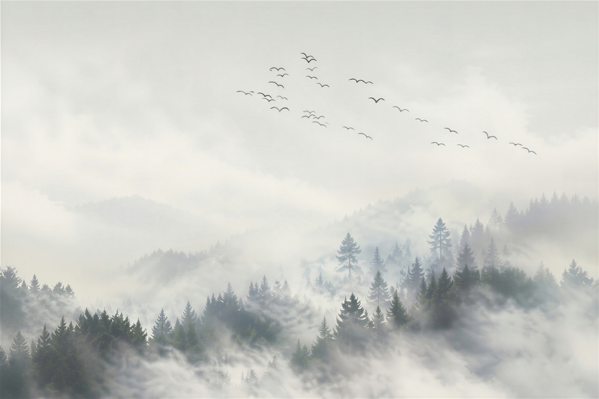 Fototapeten eine Gruppe Vögel sucht einen warmen Platz im Nebel