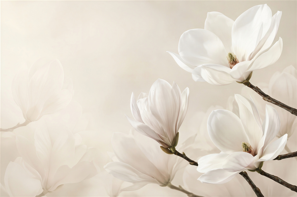 Fototapeten verschwommene, weiße Blumen