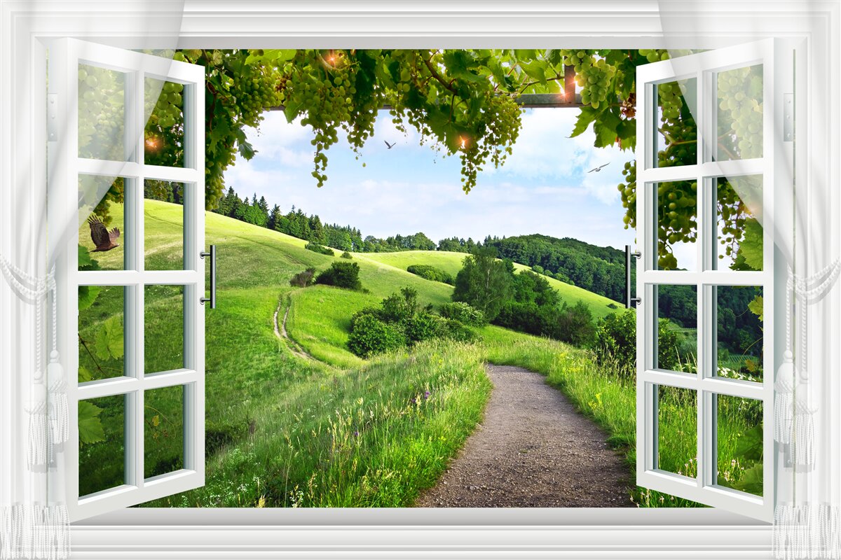 Fototapeten Natur, Eigentum und Grün