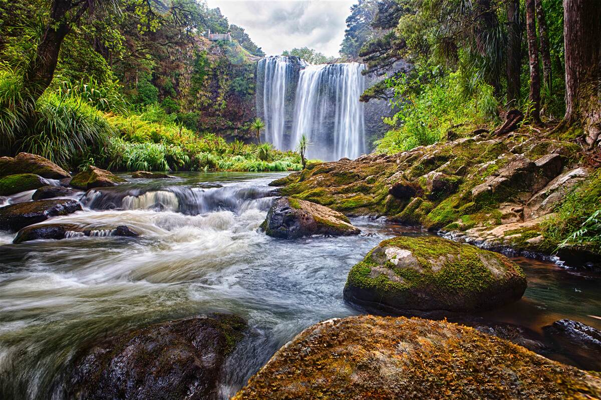 Fototapeten Wasserfall im grünen Wald