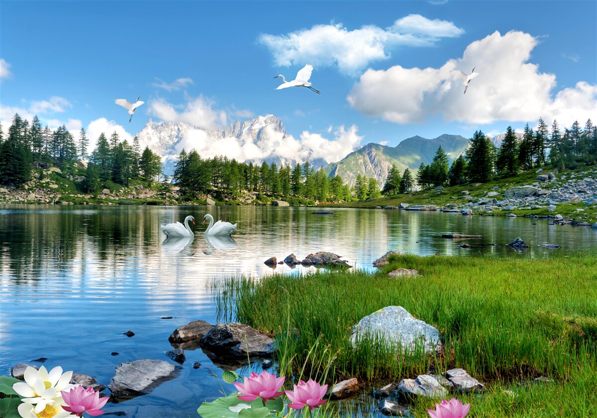 Fototapeten ruhige Bergseen an einem Sommertag