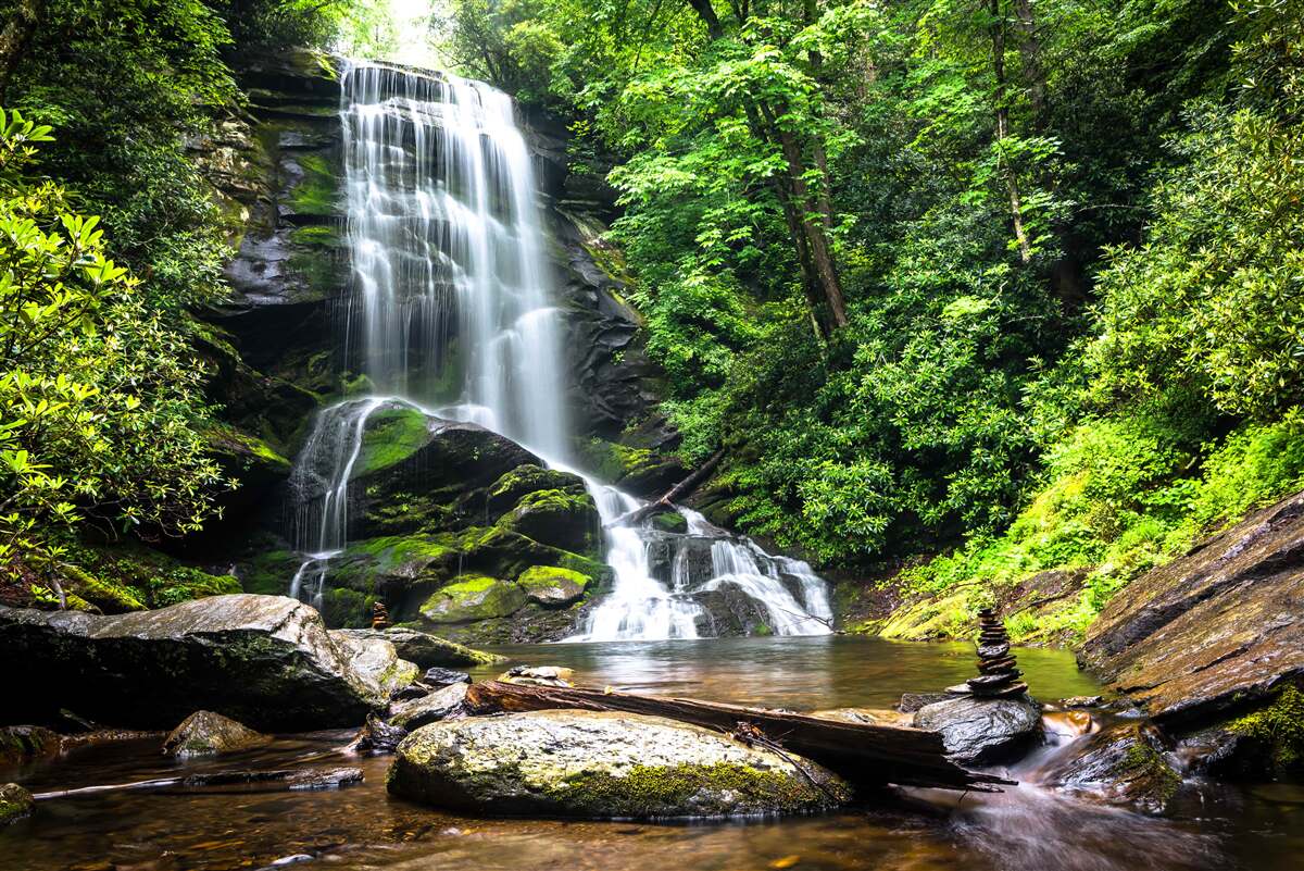 Fototapeten hoher Wasserfall im grünen Wald