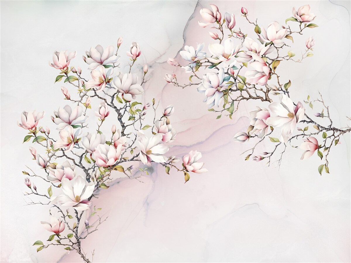 Fototapeten Schöne weiße und rosa Magnolienzweige
