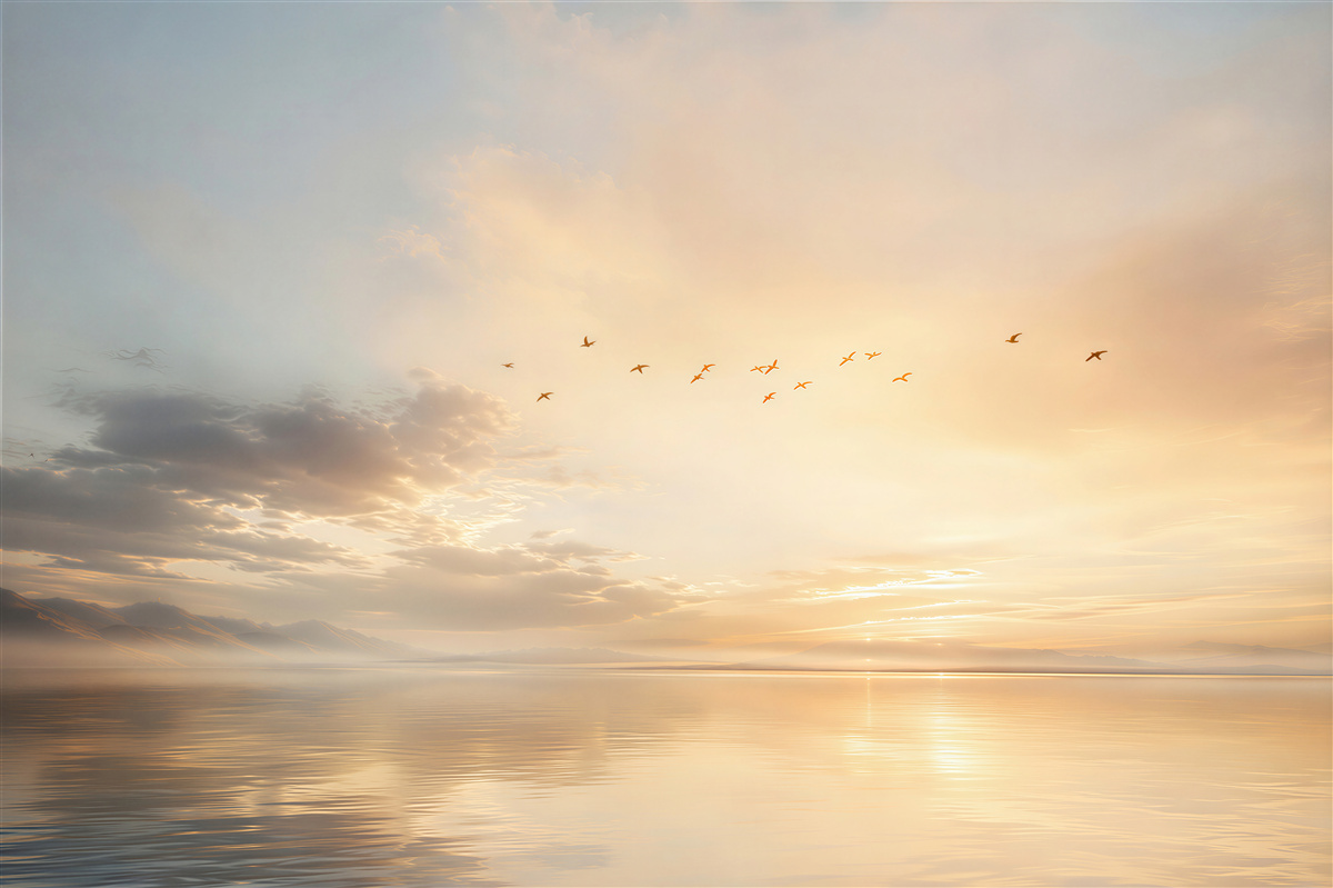 Fototapeten Vögel über dem See bei Sonnenaufgang ruhige Landschaft