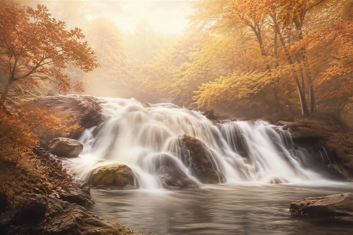 Fototapeten Herbstwaldwasserfall in warmen goldenen Farben