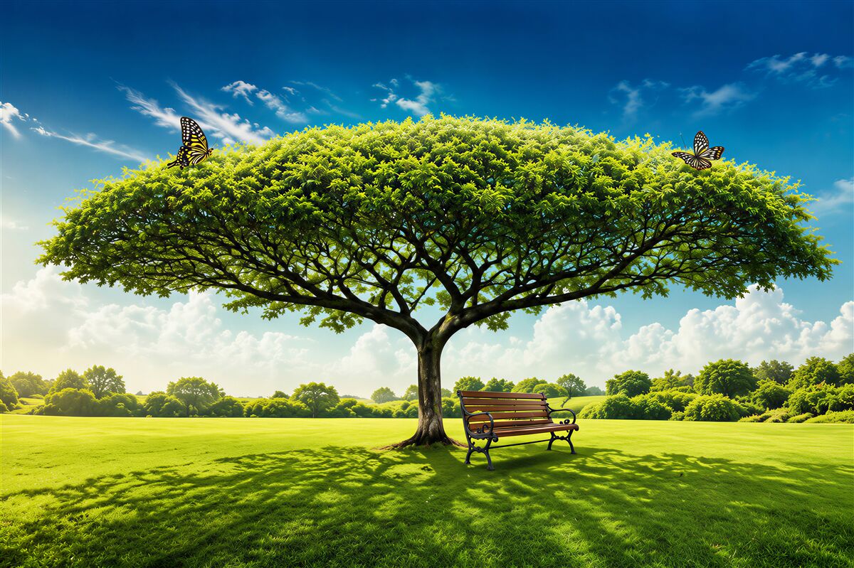 Fototapeten Großes grünes Baum