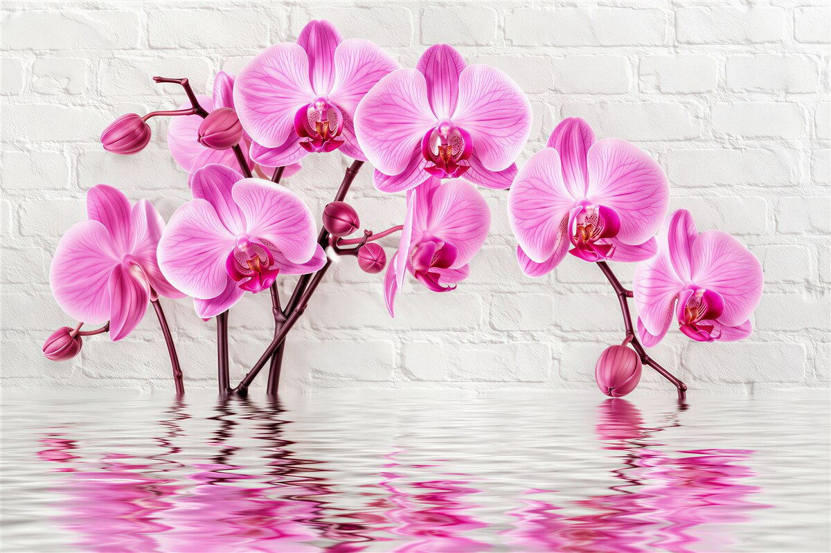 Fototapeten weiche lilafarbene Orchideen