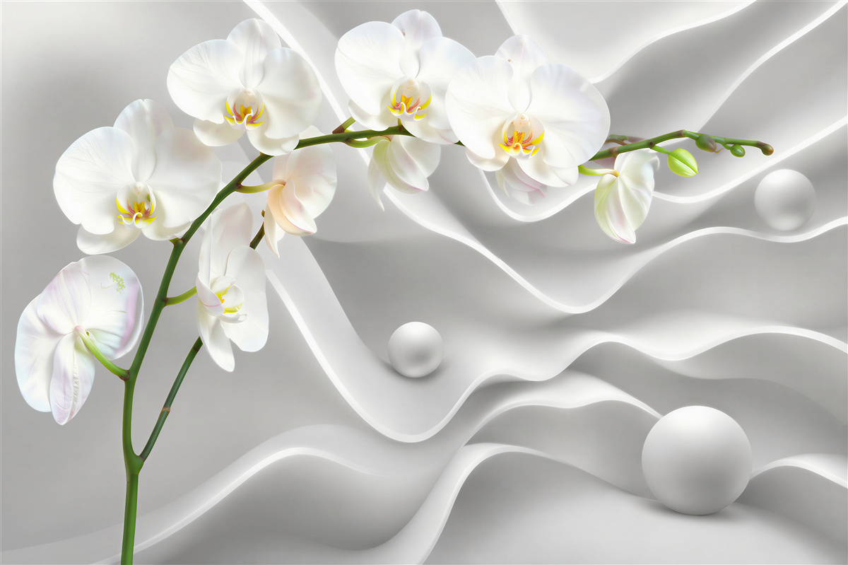 Fototapeten weiße Orchidee auf grauem Hintergrund