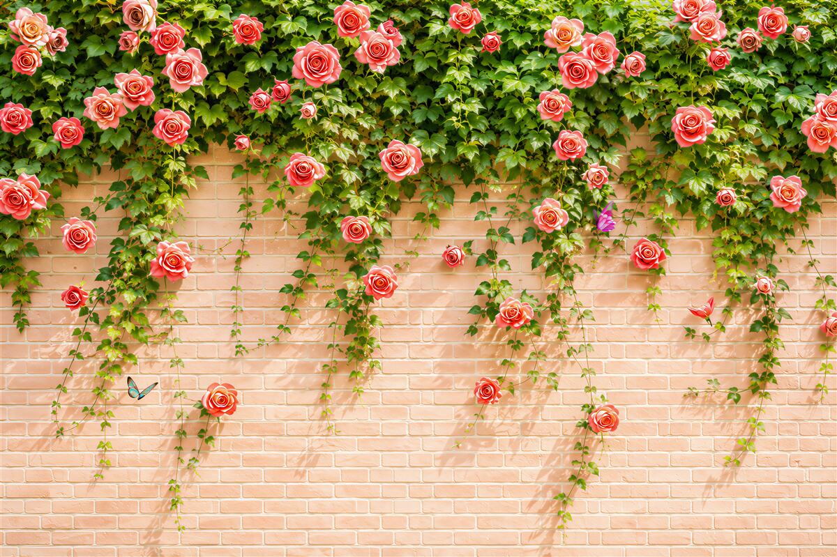 Fototapeten rote Rosen an einer Ziegelwand