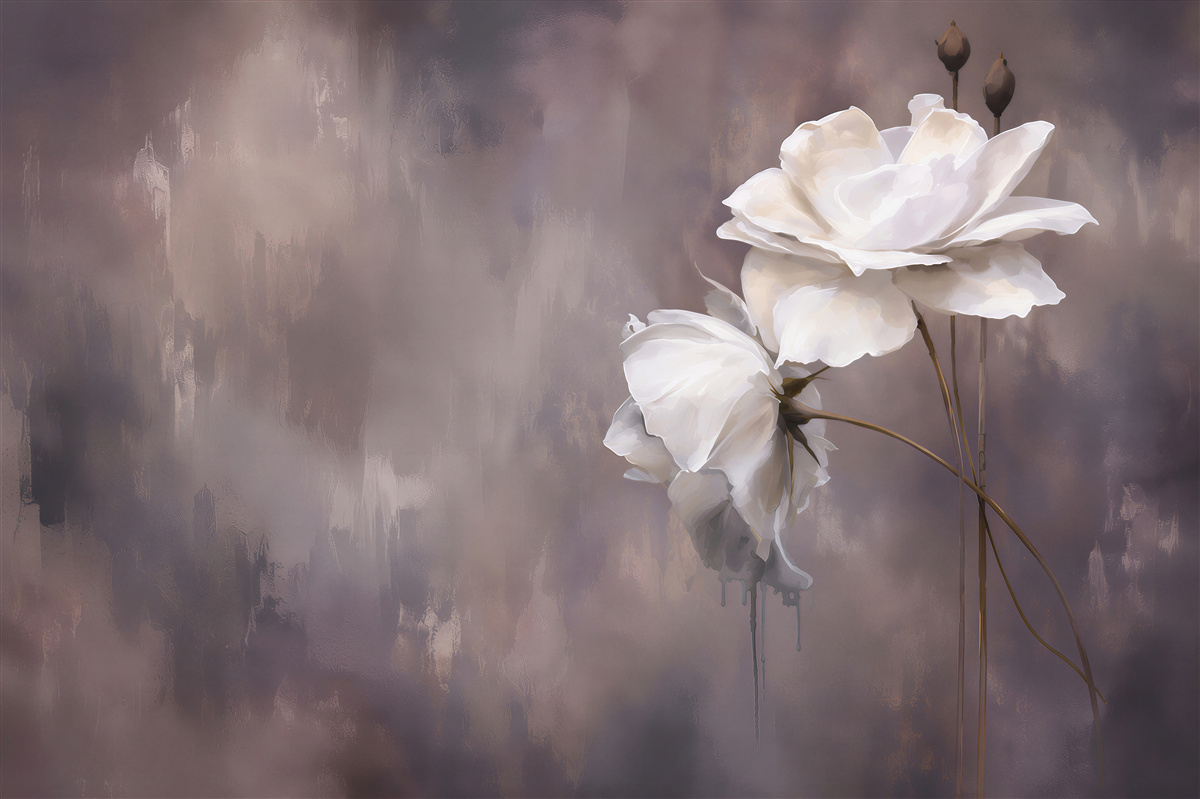 Fototapeten zwei große weiße Blumen