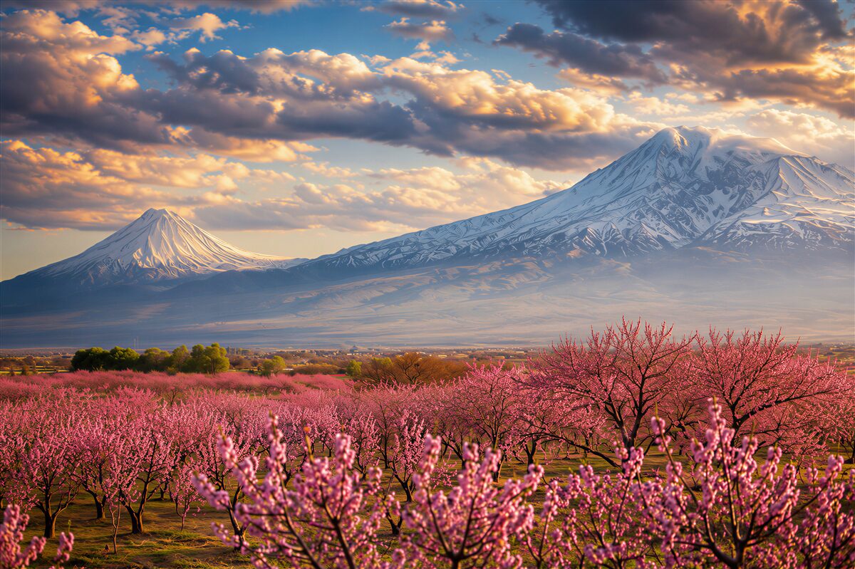 Fototapeten Kirschblüten am Fuße der Berge