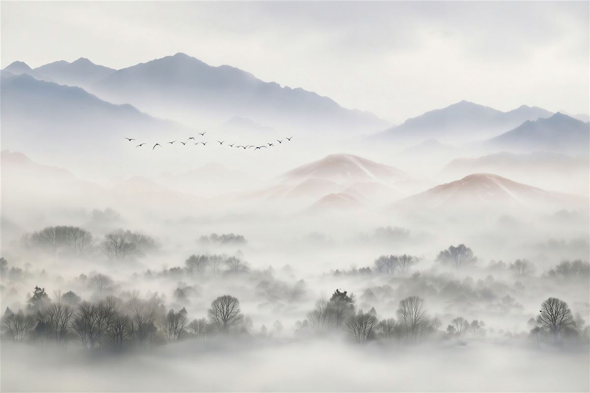 Fototapeten dichte und kalte Nebel umhüllt die Berge