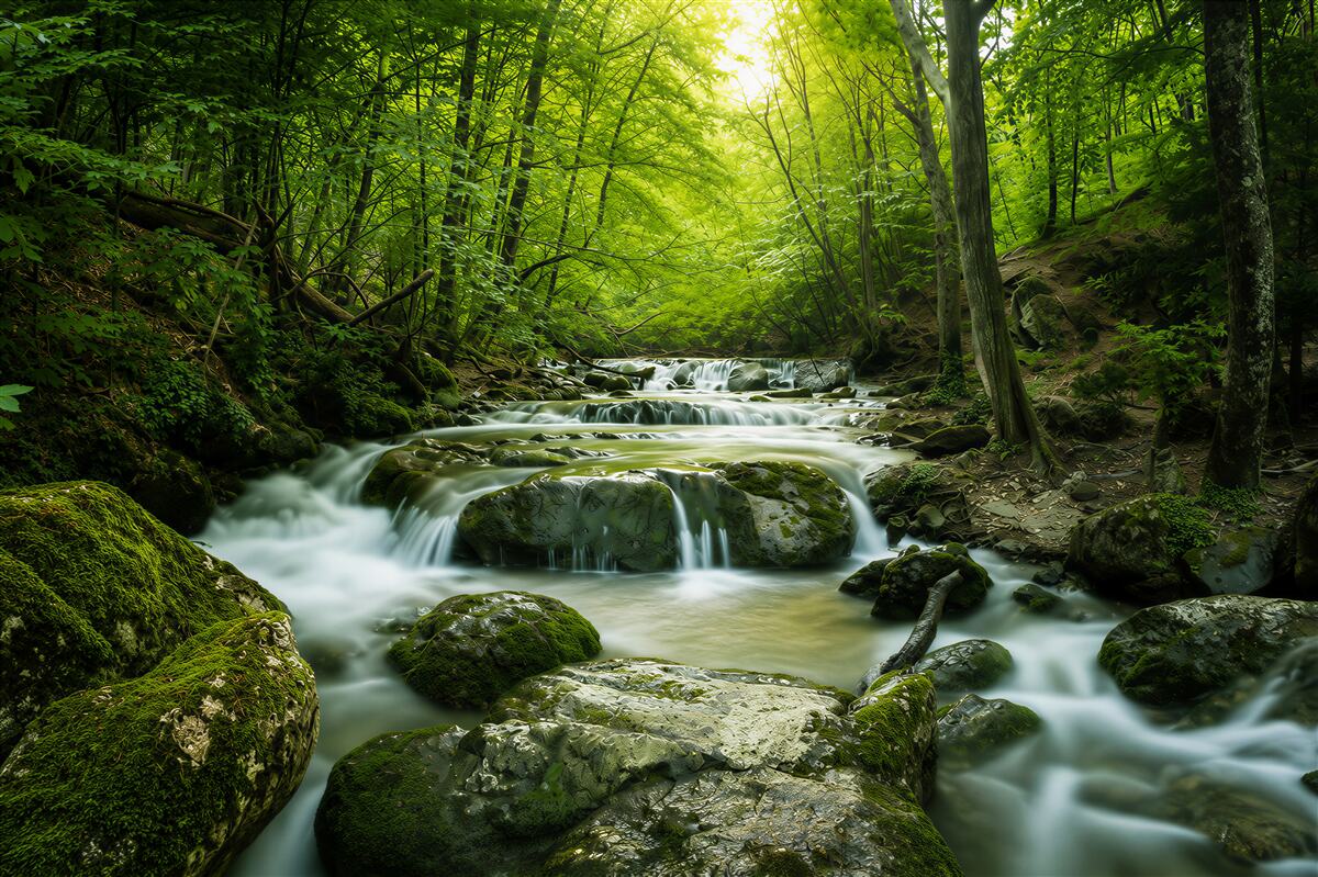 Fototapeten ruhige Wasser eines Wasserfalls im grünen Wald