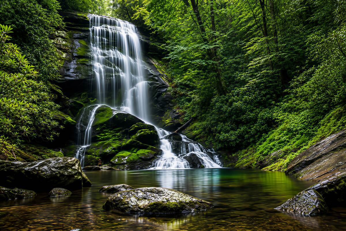 Fototapeten Wasser, das von einem Bergwasserfall in den Wald fällt