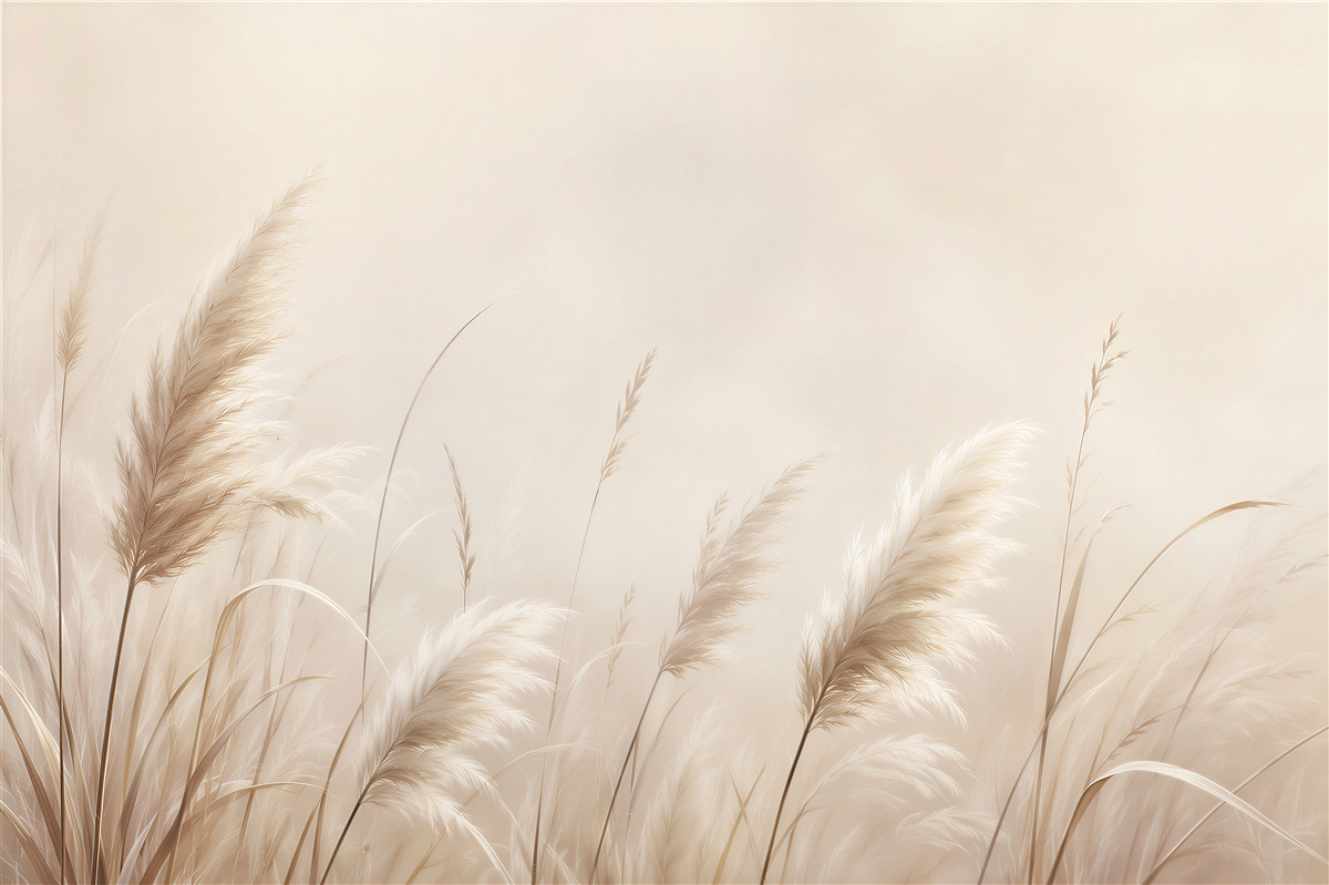 Fototapeten Zarte Pampas in Beigetönen
