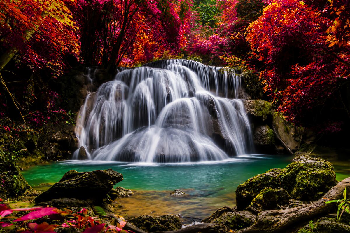 Fototapeten Waldwasserfall mit türkisfarbener Lagune und blühenden Bäumen
